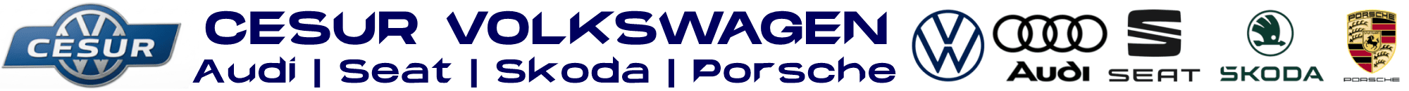 CESUR VOLKSWAGEN